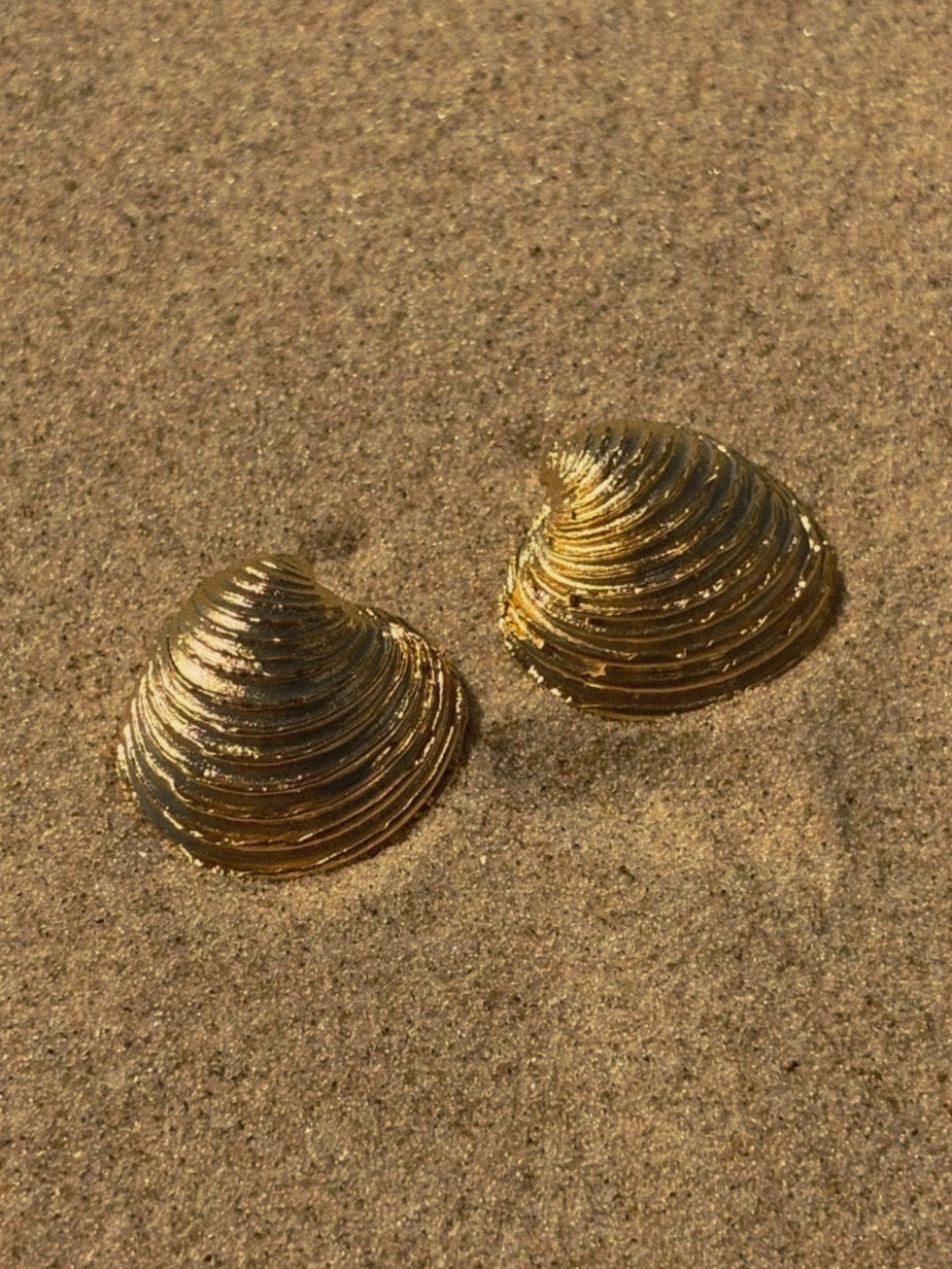 The Shell earrings gold
