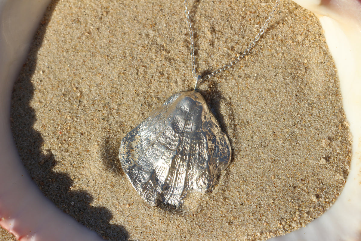 Scallop Shell necklace