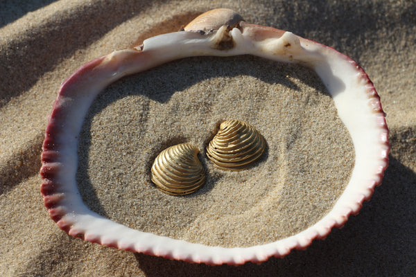 The Shell earrings gold