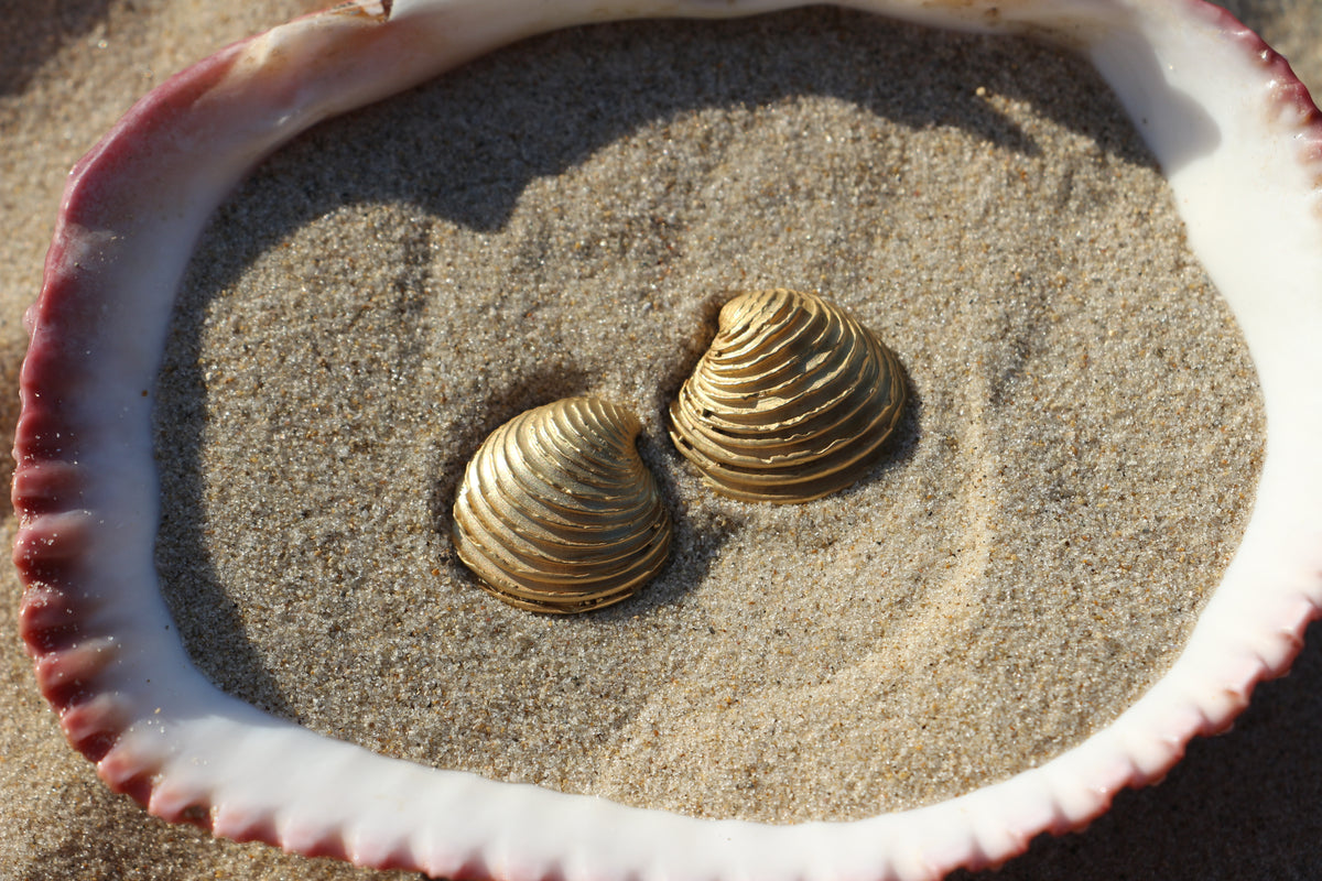 The Shell earrings gold