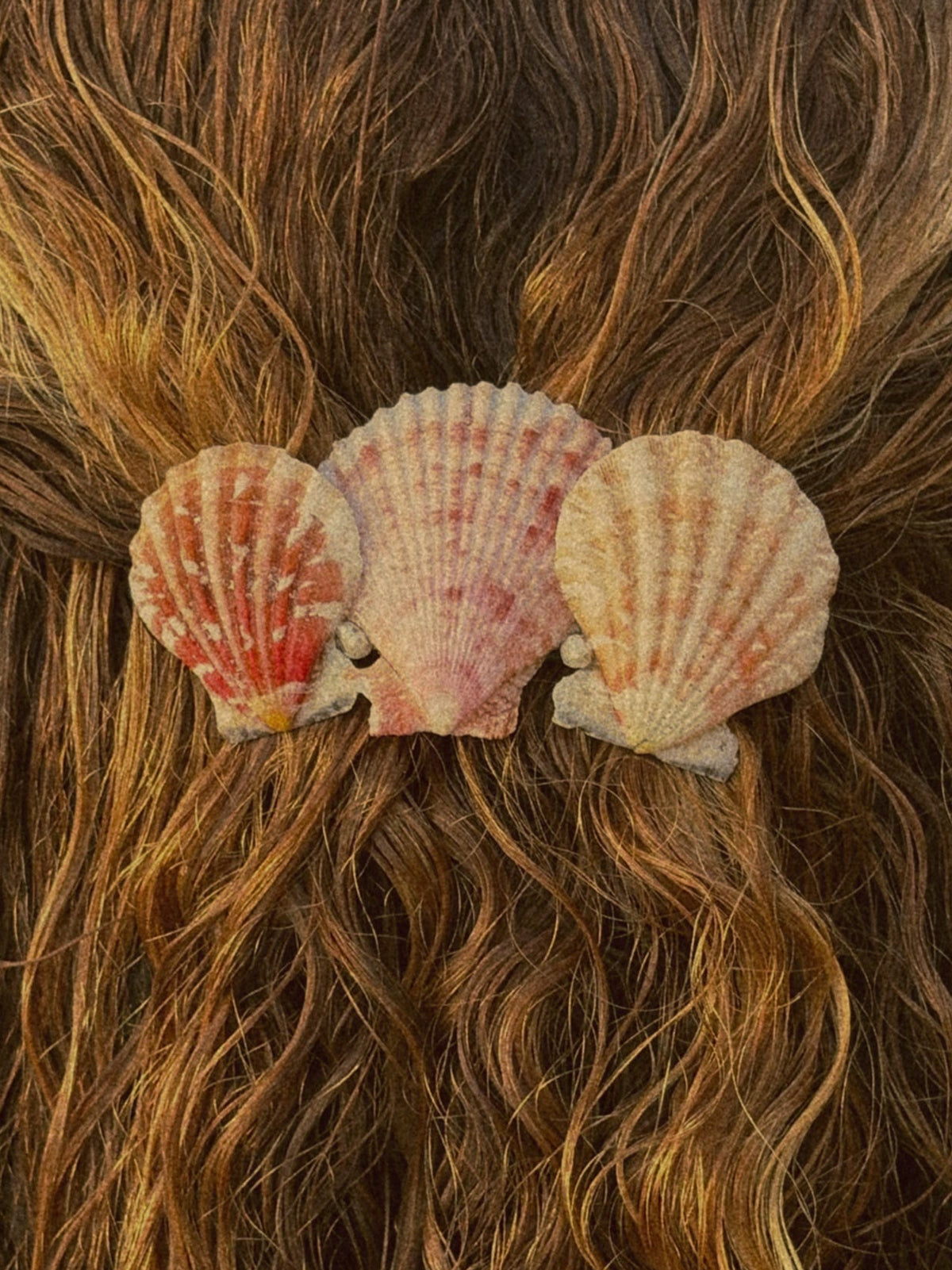 The Shell Piece