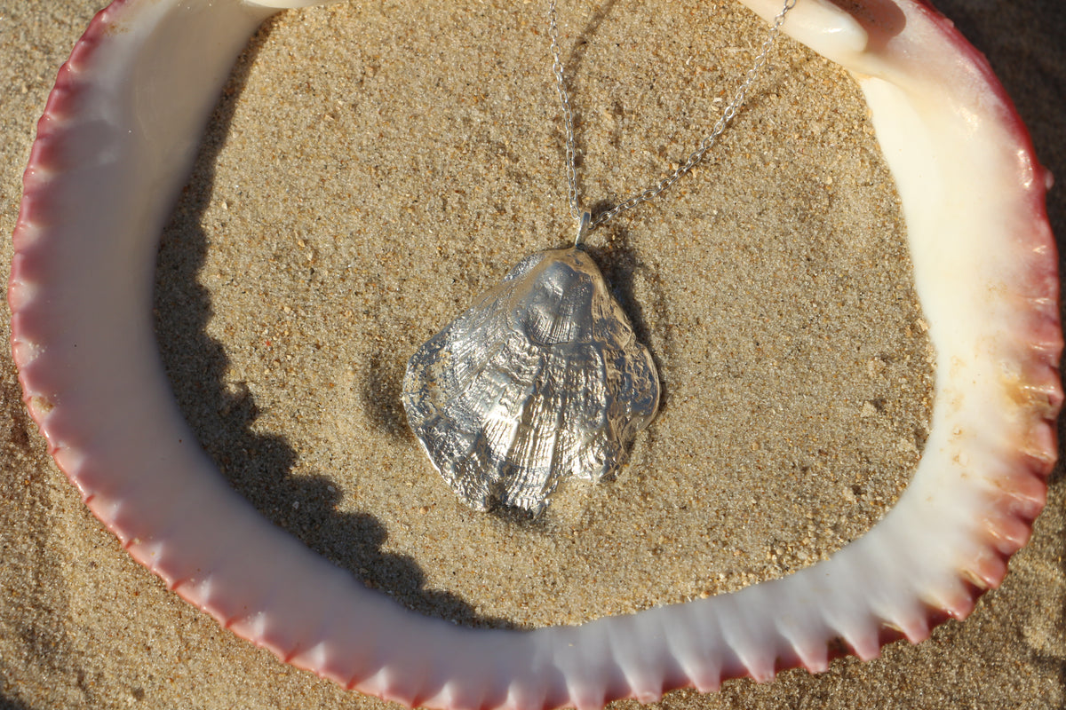 Scallop Shell necklace