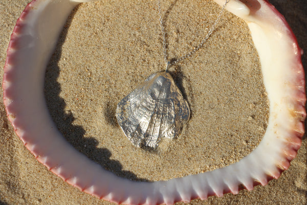 Scallop Shell necklace