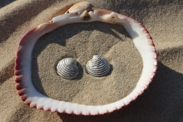 The Shell earrings