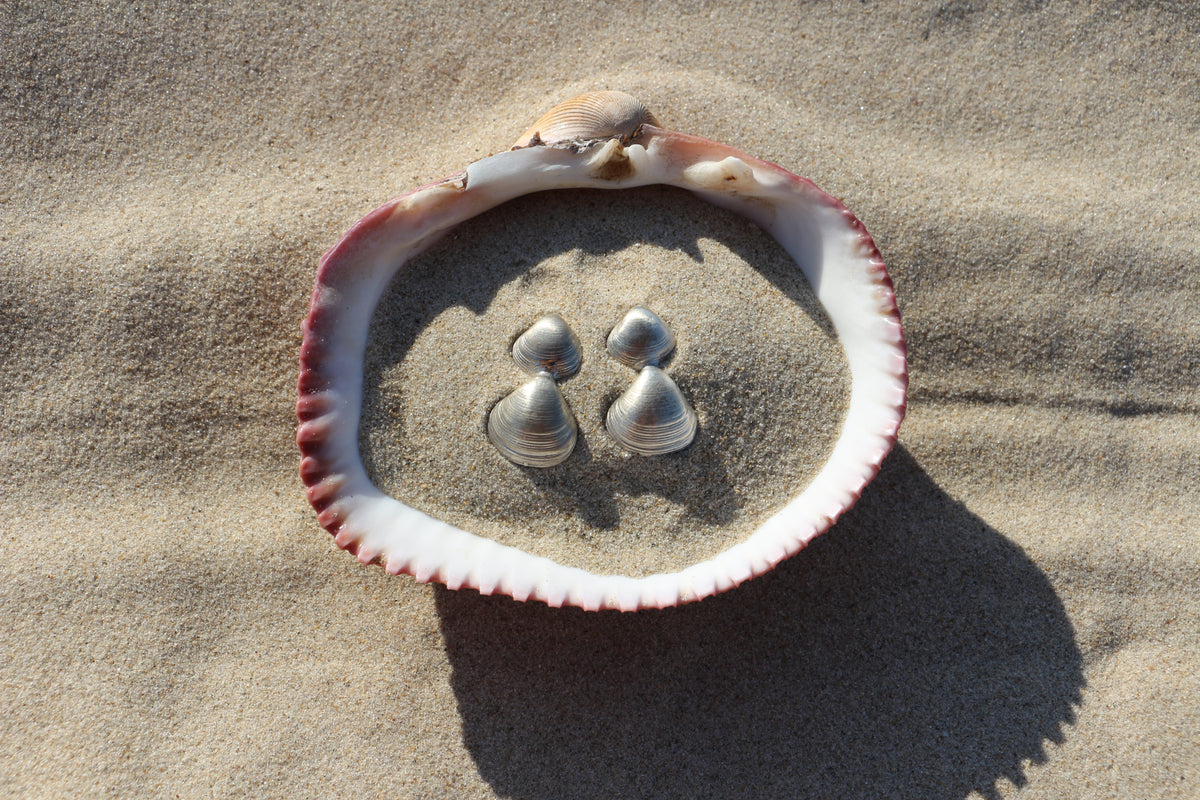 Double Shell Earrings