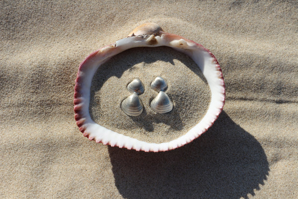 Double Shell Earrings