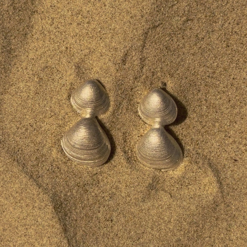 Double Shell Earrings