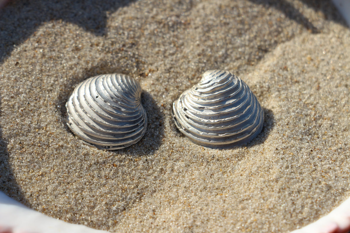 The Shell earrings